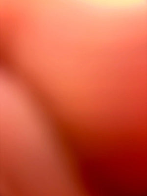 A96cc1670cf944a16be78920e9736cd2cX.jpg